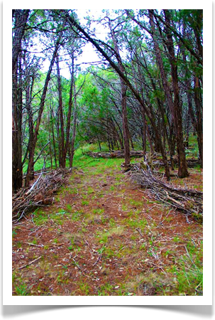 Texas Land Art Land